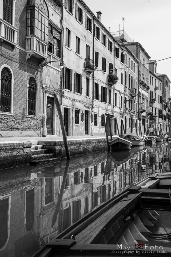 Mayafoto, Venice